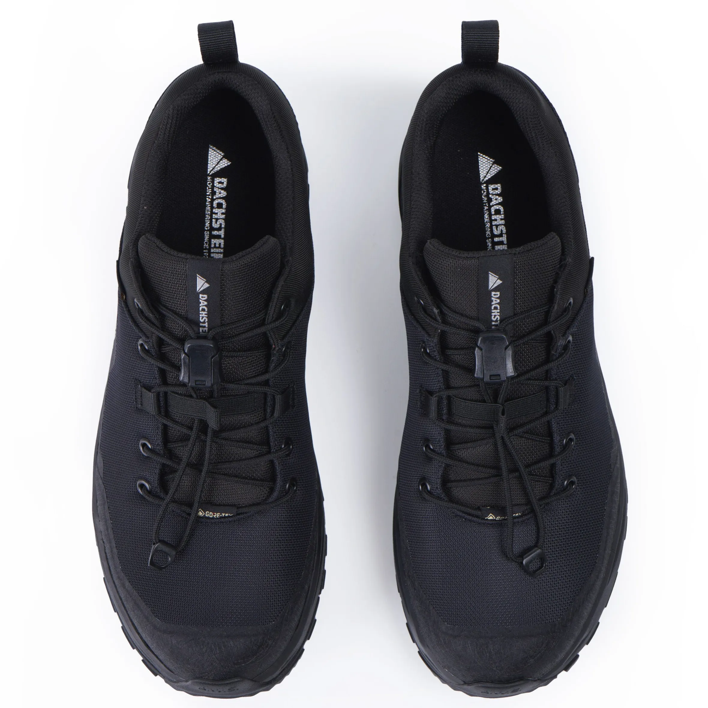 Dachstein Delta Peak GTX Wmn
