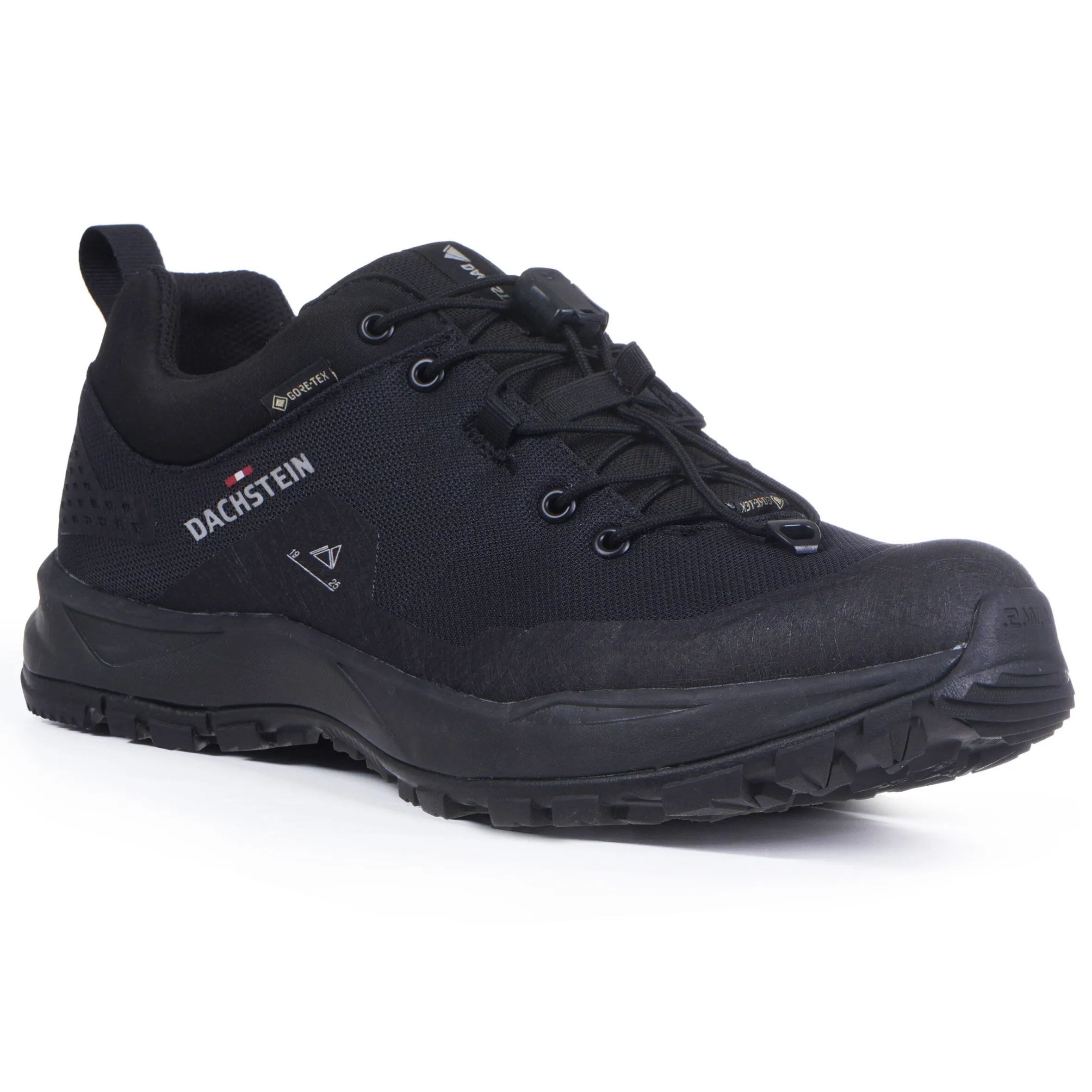 Dachstein Delta Peak GTX Wmn