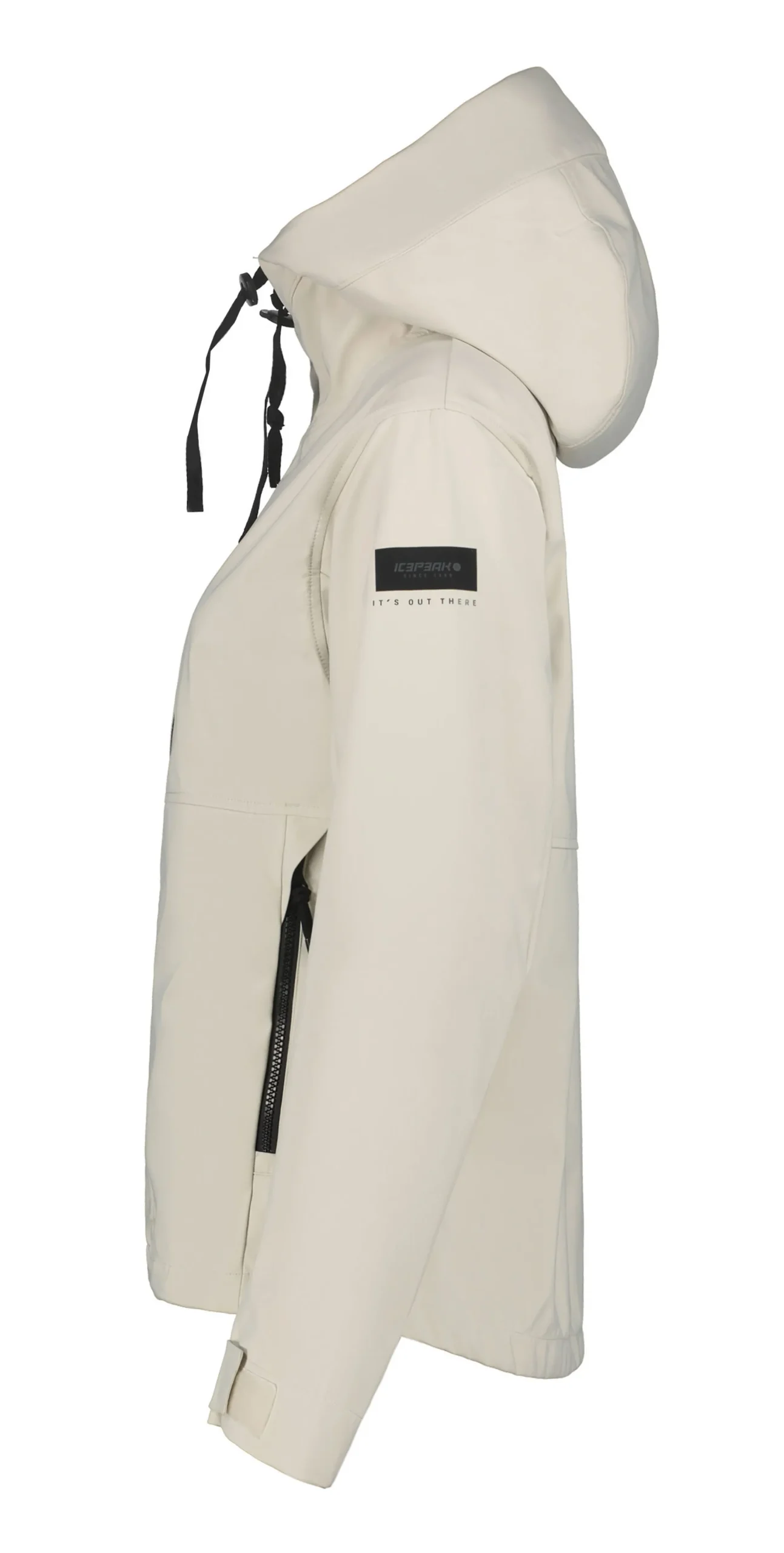 Icepeak Actom