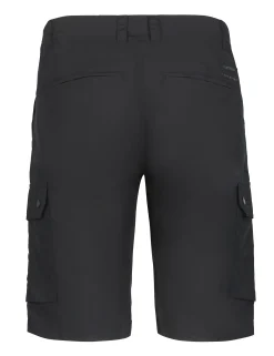 Icepeak Anzio