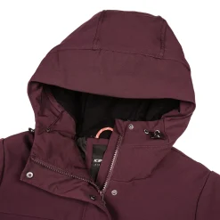 Icepeak Aplington