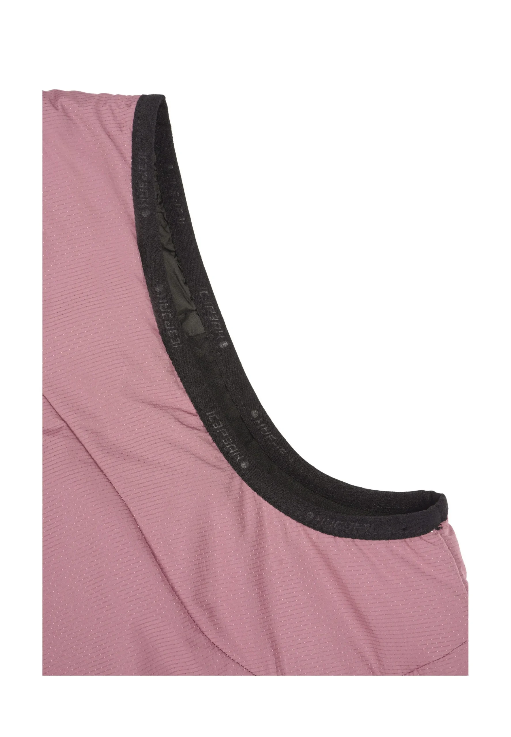 Icepeak Baroda