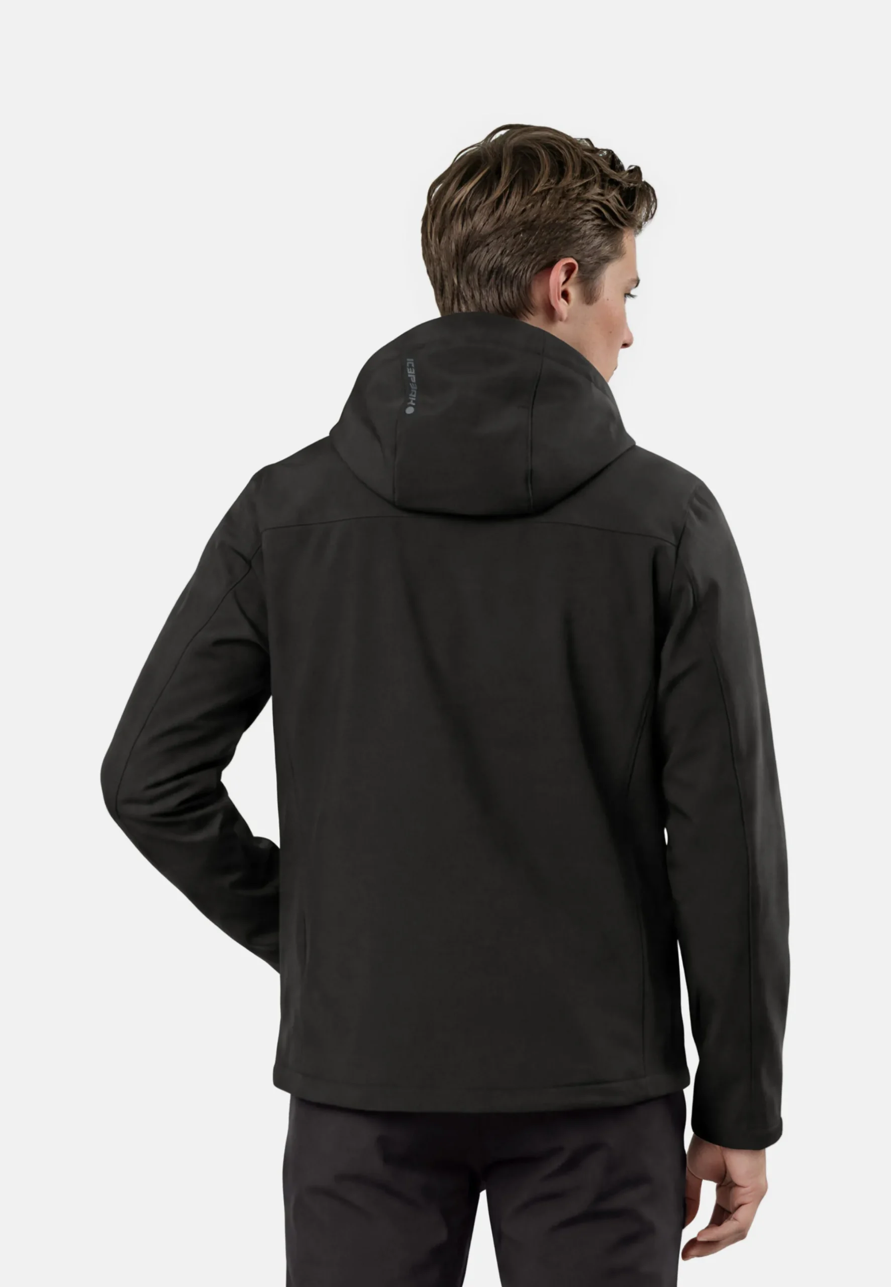 Icepeak Beedeville