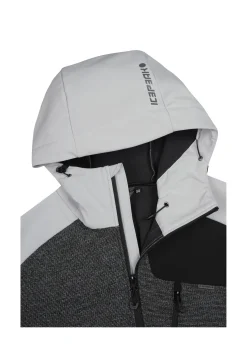 Icepeak Beedeville