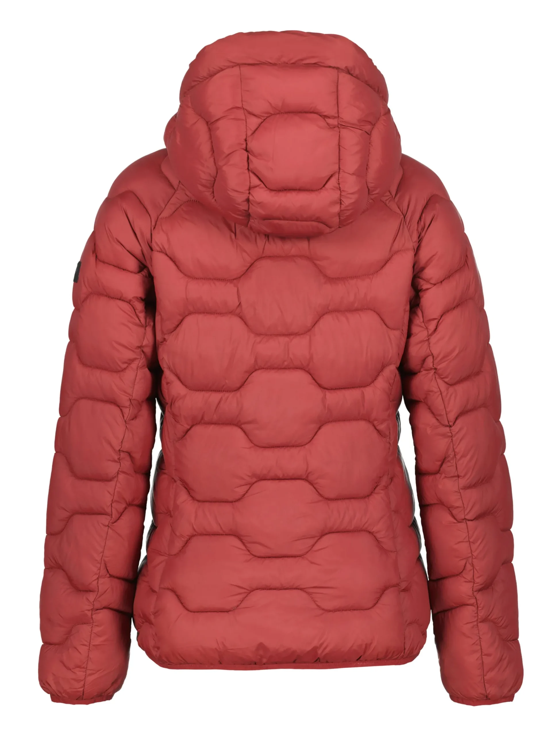 Icepeak Blackey