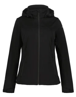 Icepeak Boise