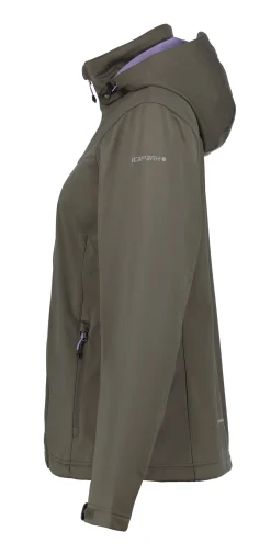 Icepeak Boise