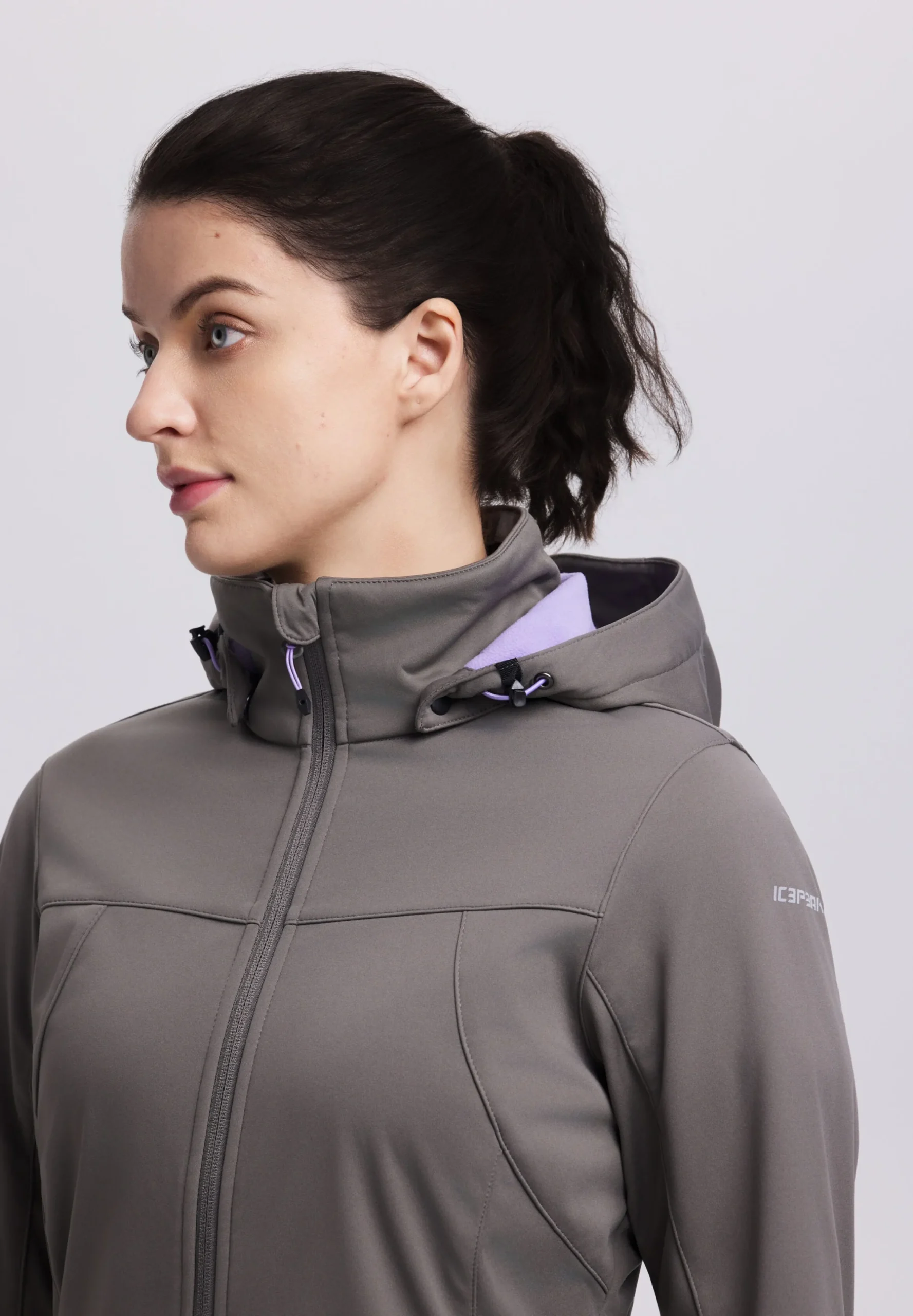 Icepeak Boise
