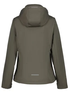 Icepeak Boise