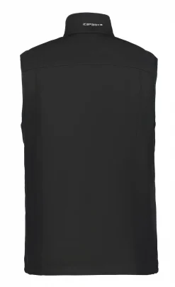 Icepeak Bombay