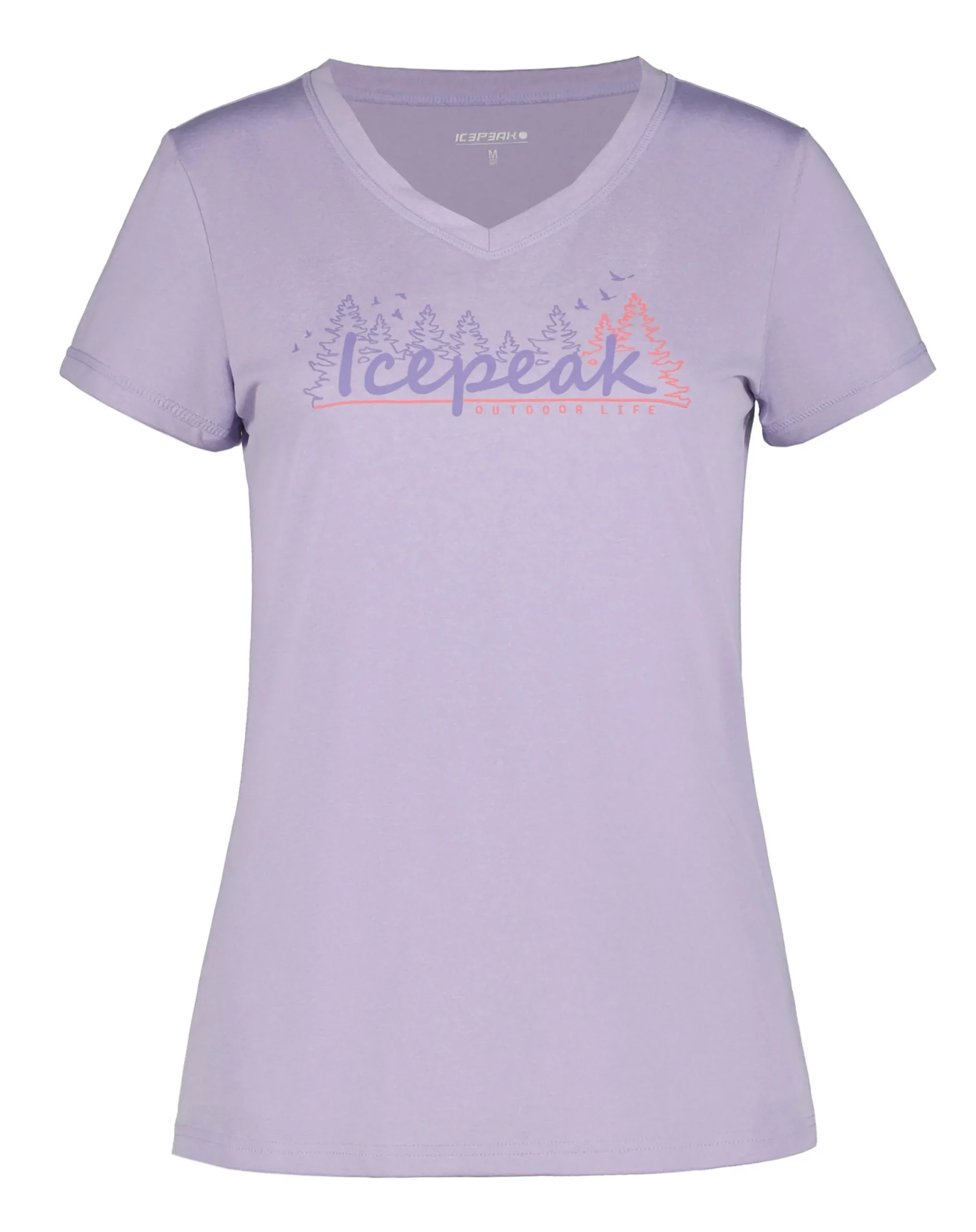 Icepeak Burnham