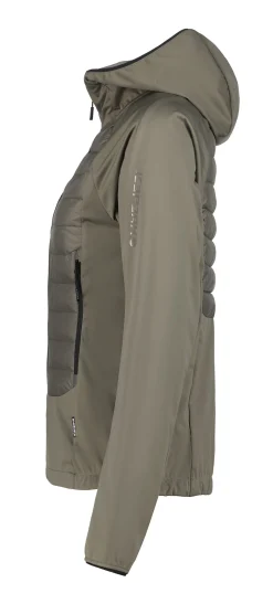 Icepeak Delmont