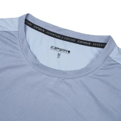 Icepeak Deloit