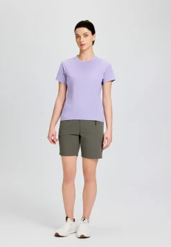 Icepeak Deloit