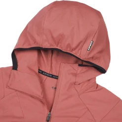 Icepeak Dinan