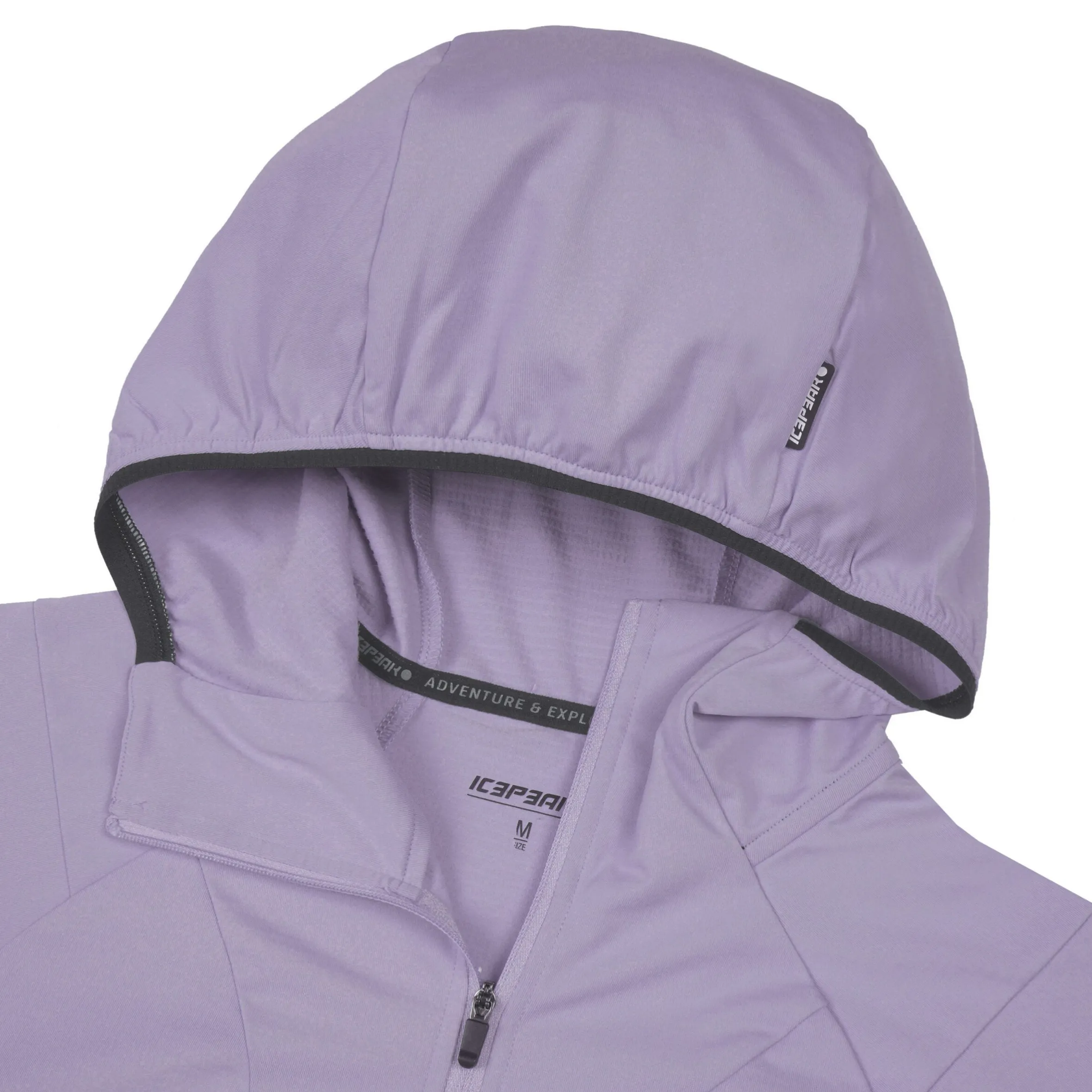 Icepeak Dinan