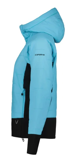Icepeak Dix