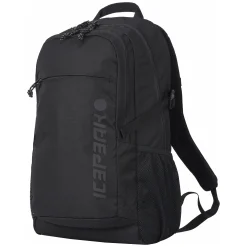 Icepeak Geiger