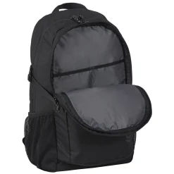 Icepeak Geiger