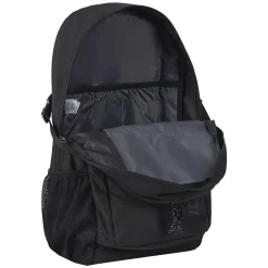 Icepeak Geiger