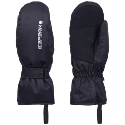 Icepeak Haysburg
