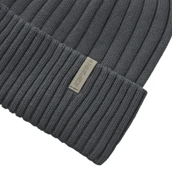 Icepeak Holton