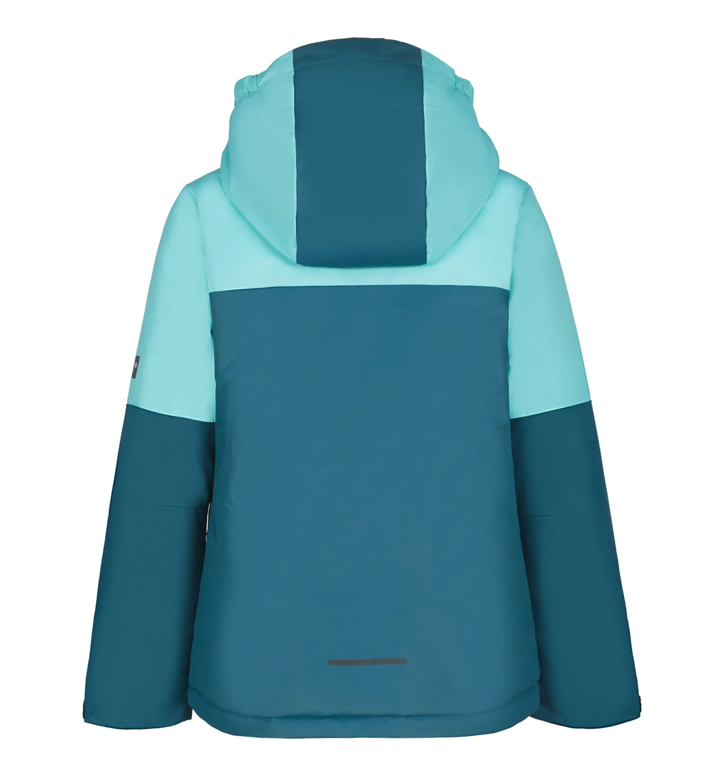 Icepeak Lindley Jr