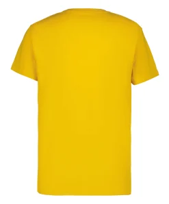 Icepeak Mocbach