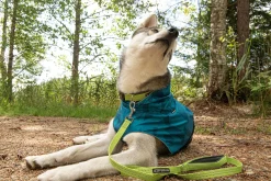Icepeak Pet Grand x leash