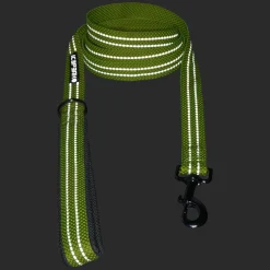 Icepeak Pet Grand x leash