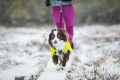 Icepeak Pet Strike raincoat