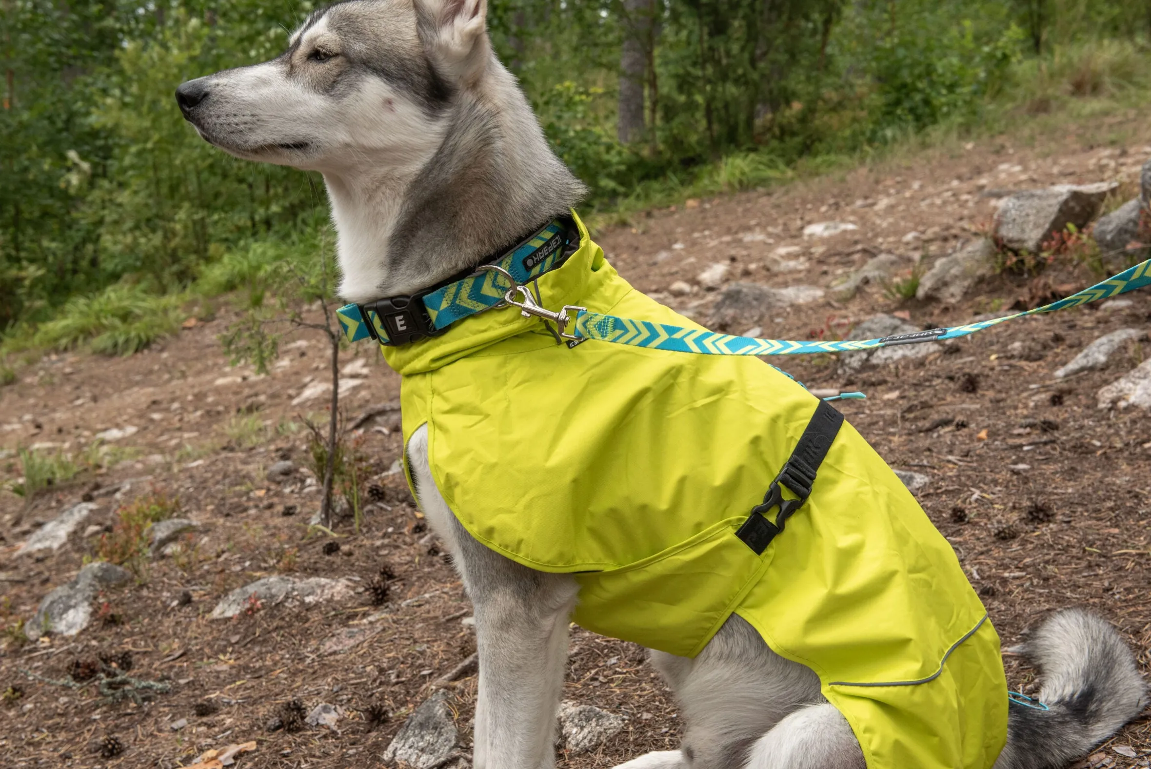 Icepeak Pet Strike raincoat