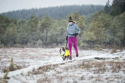 Icepeak Pet Strike raincoat