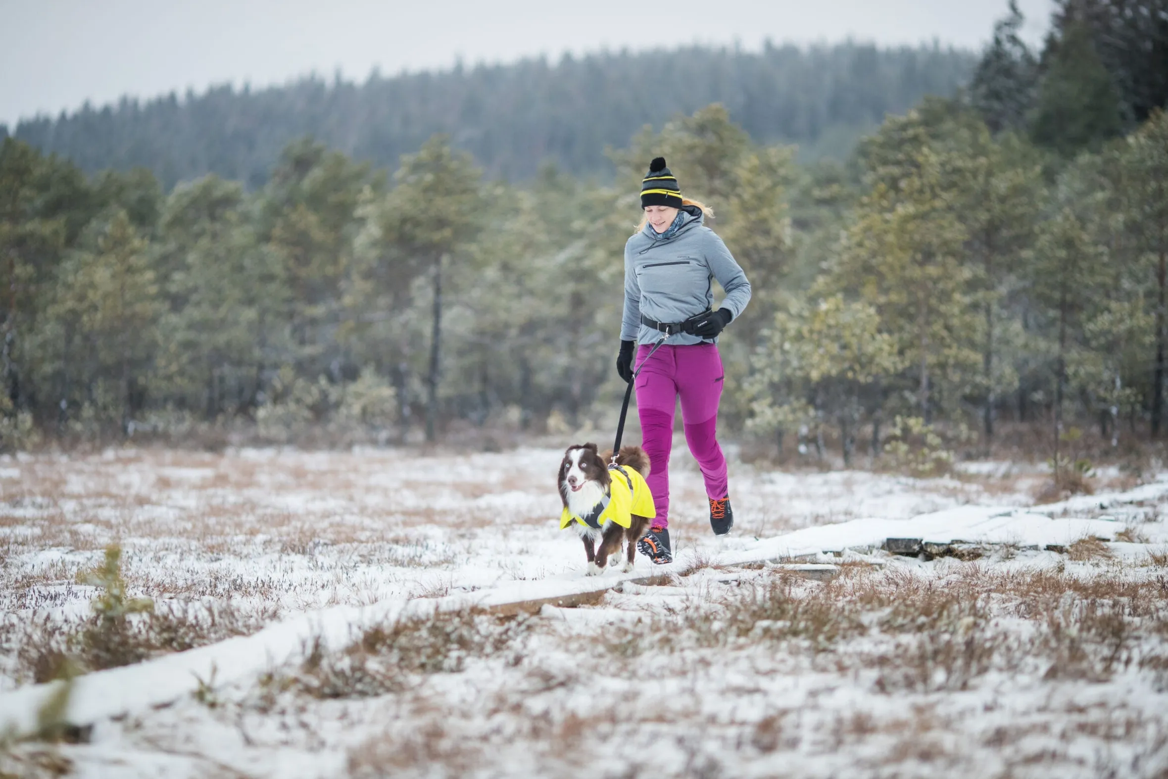 Icepeak Pet Strike raincoat