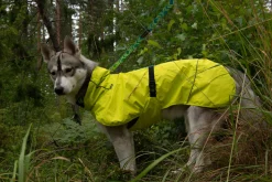 Icepeak Pet Strike raincoat