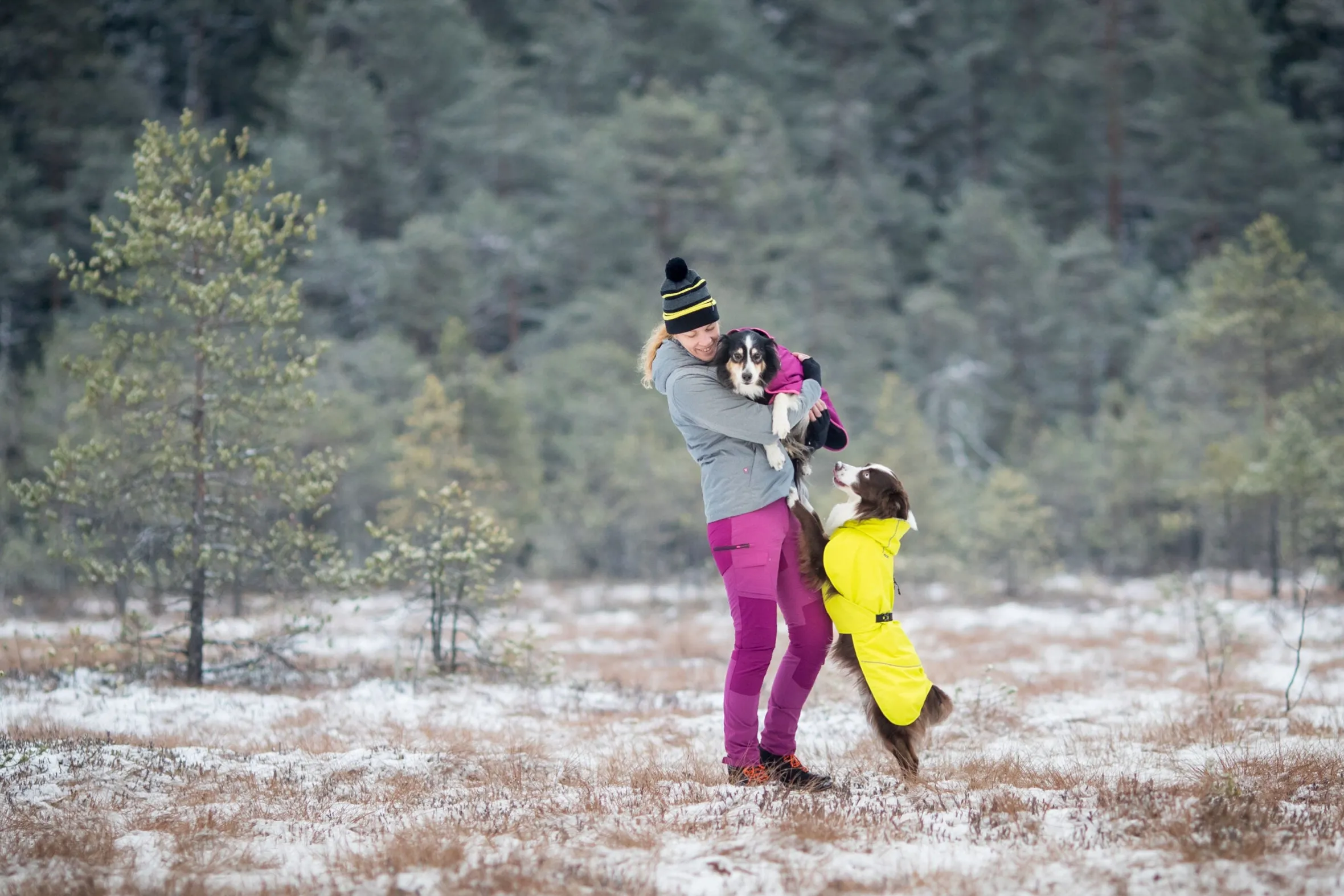 Icepeak Pet Strike raincoat