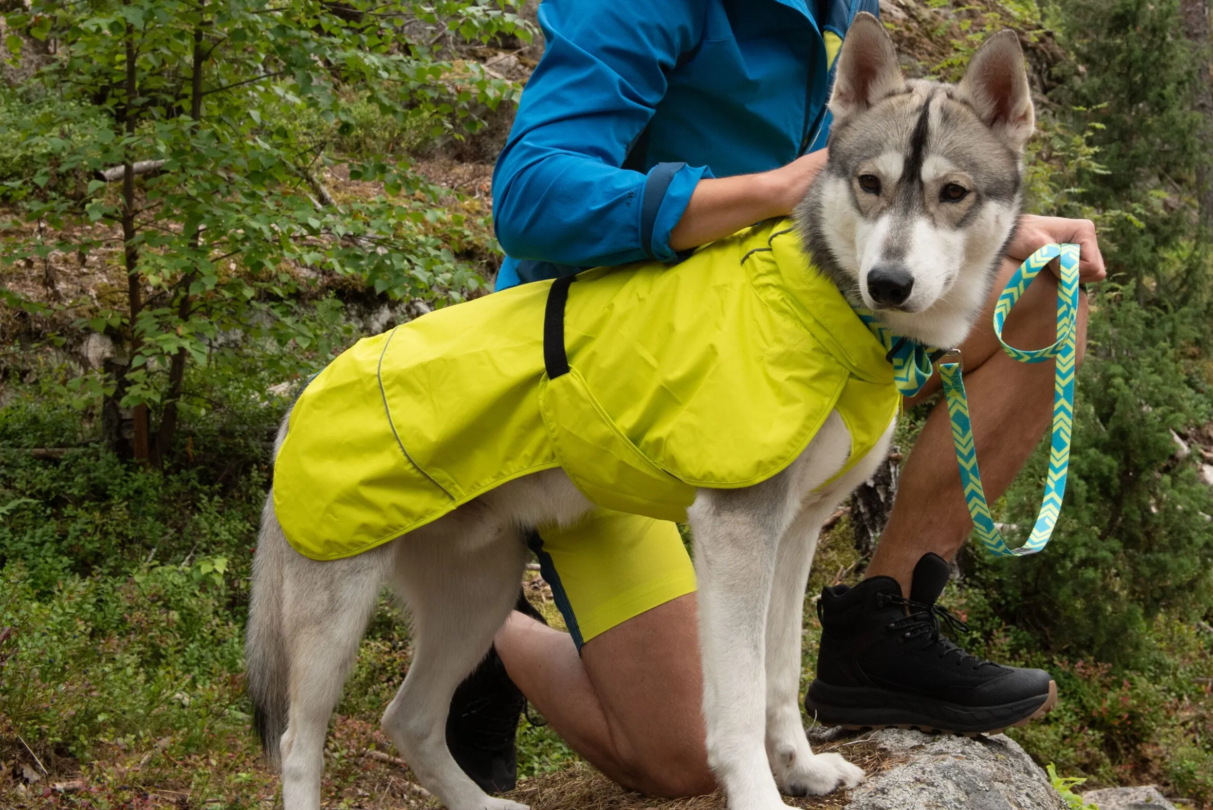 Icepeak Pet Strike raincoat