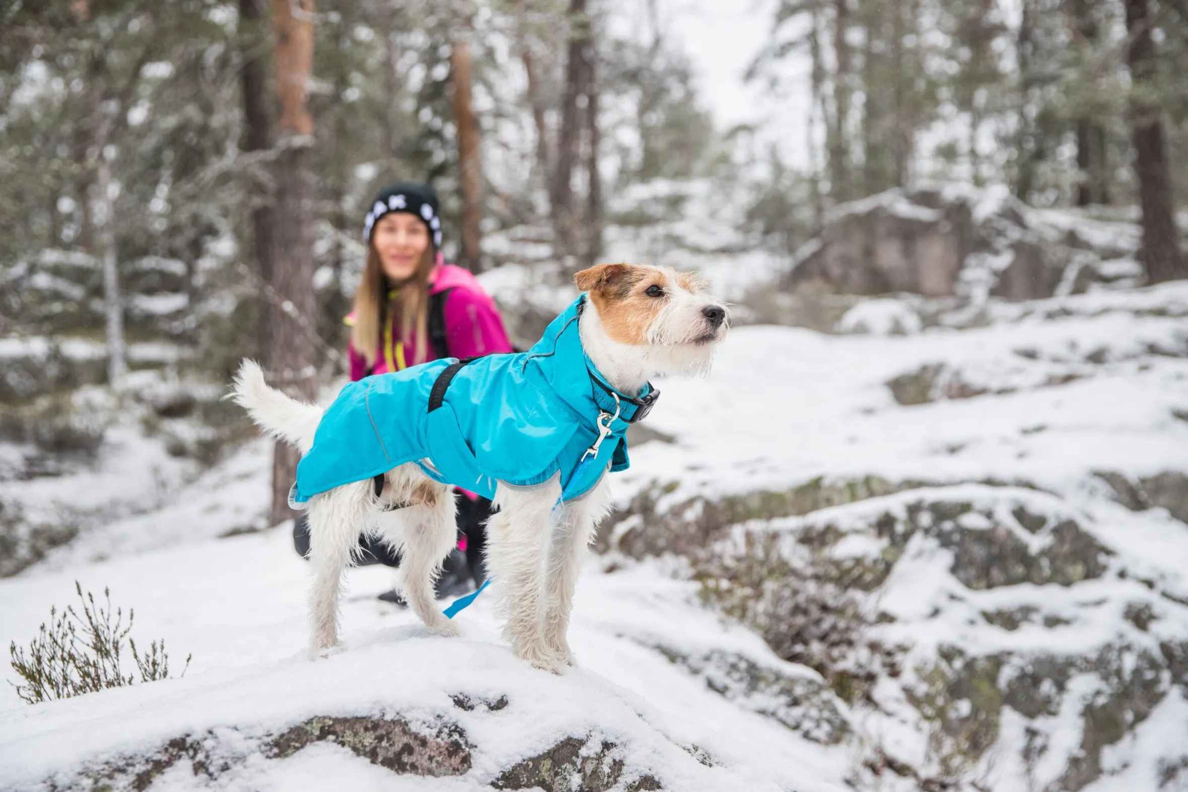 Icepeak Pet Strike raincoat