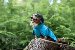 Icepeak Pet Strike raincoat