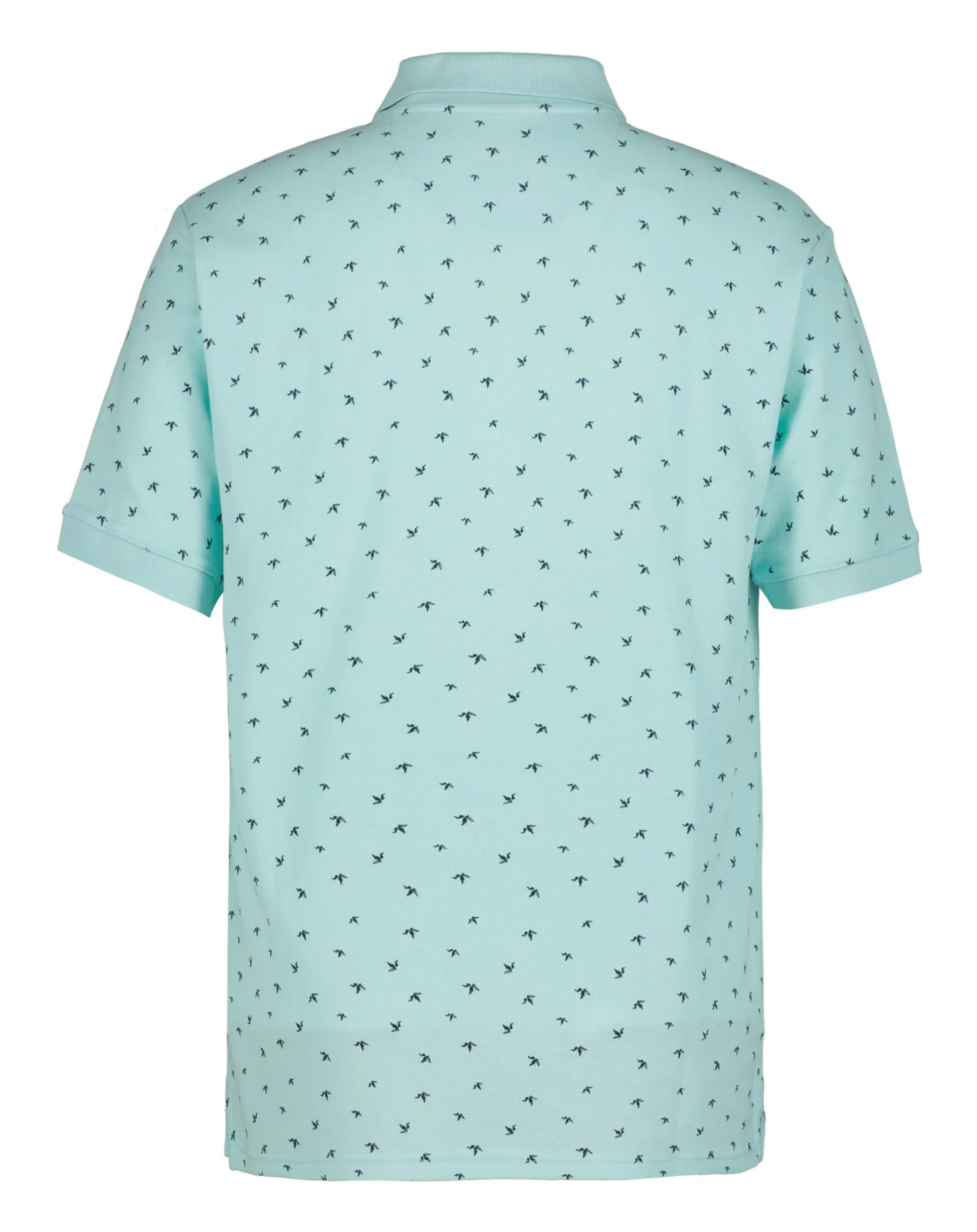 Icepeak Velletri