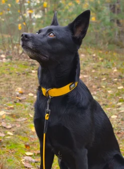 Rukka Pets Biodipro Collar