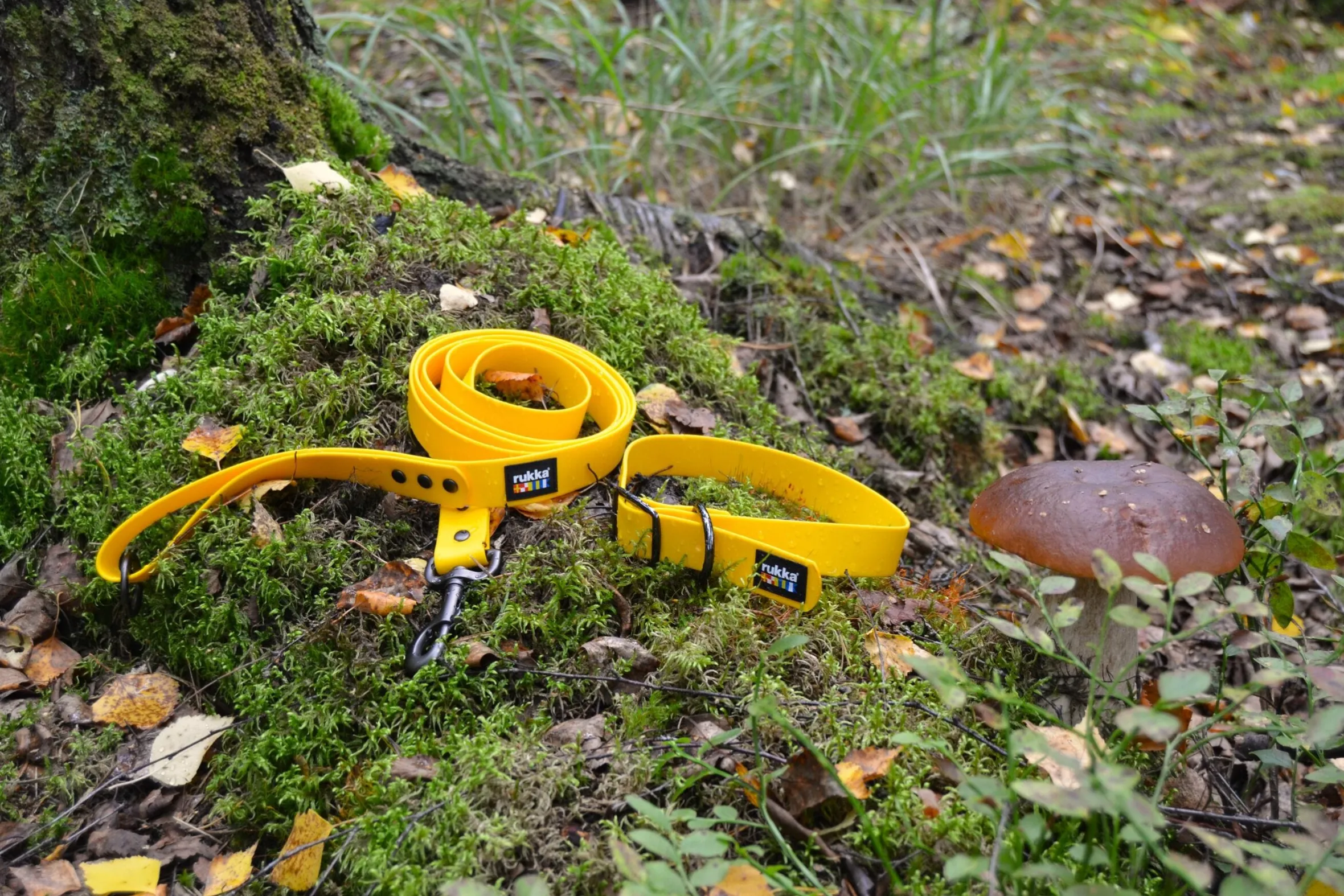 Rukka Pets Biodipro Collar