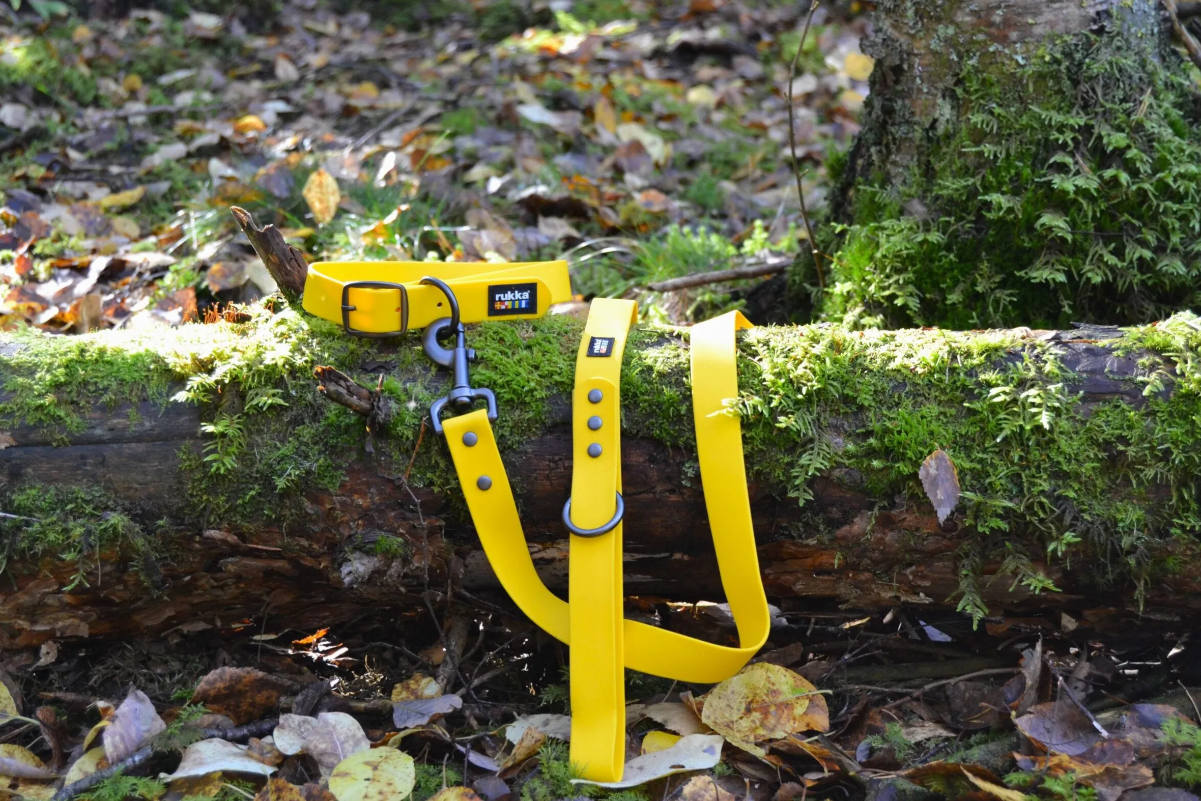 Rukka Pets Biodipro Collar