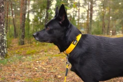 Rukka Pets Biodipro Collar