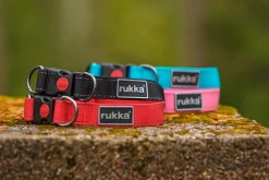 Rukka Pets Bliss collar