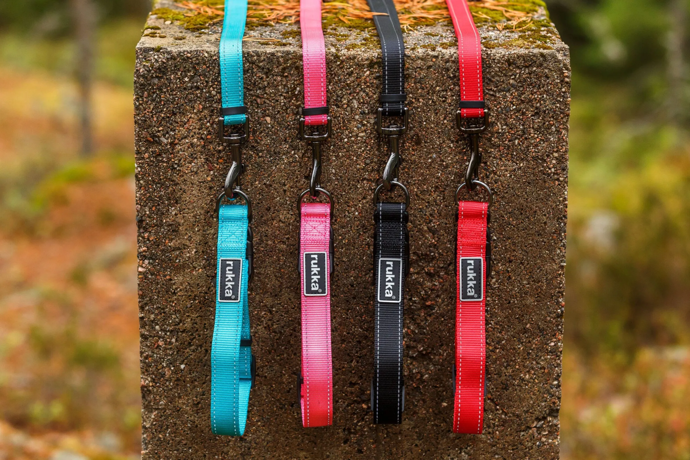 Rukka Pets Bliss collar