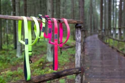 Rukka Pets Bliss neon collar