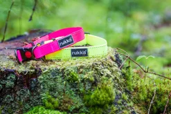 Rukka Pets Bliss neon collar