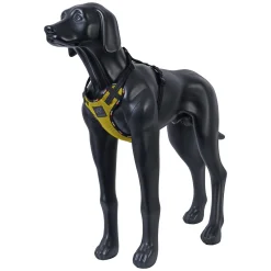 Rukka Pets Bliss x harness