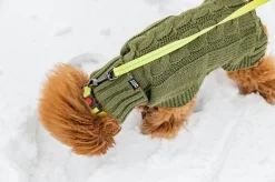 Rukka Pets Cheery tiny leash